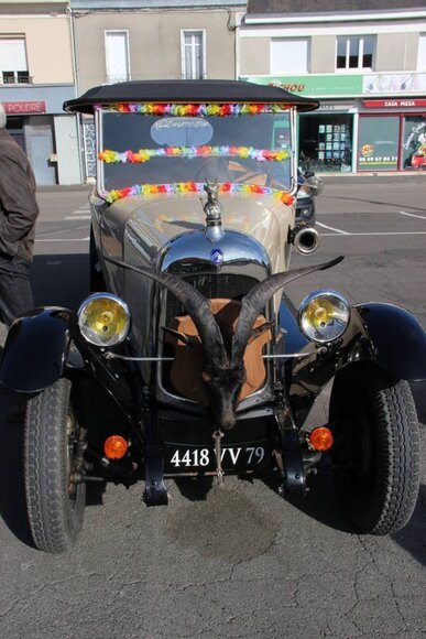 IMG_5162 (FILEminimizer)