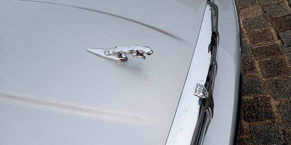 IMG_20220116_105818
