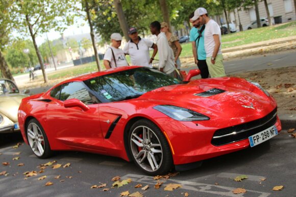 IMG_3341 (FILEminimizer)