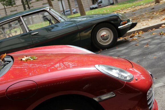 IMG_3350 (FILEminimizer)