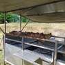 IMG_20240901_131040 