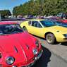 IMG_20250406_150556 