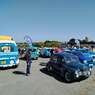 IMG_20250518_110214 
