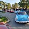 IMG_20251005_121254 